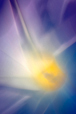 Light Within